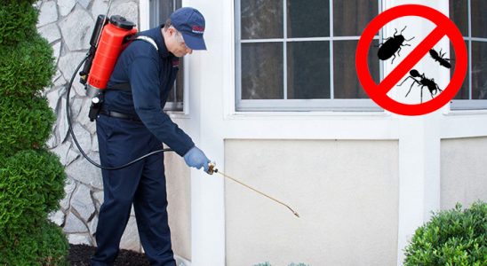 Doğankent Böcek ve Haşere İlaçlama böcek ilaçlama ve haşere kontrolü — ilaclama-tr.com